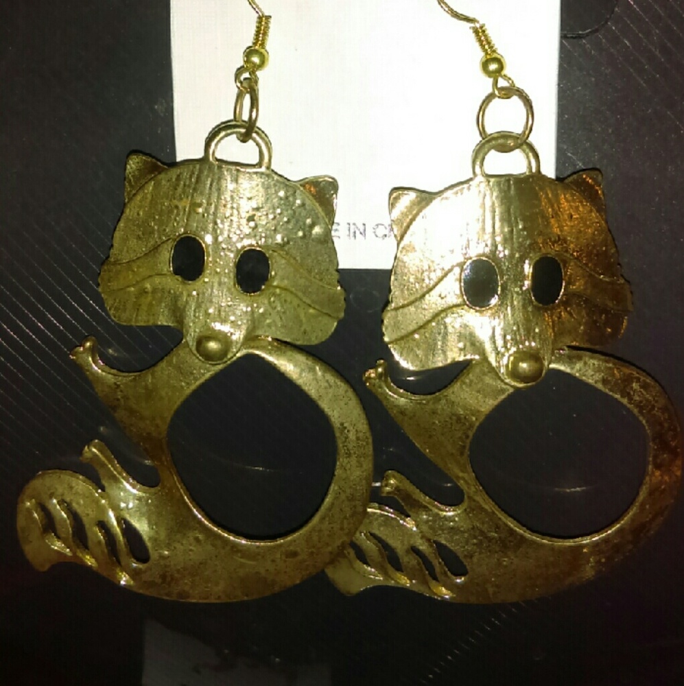 Raccoons